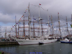Sail 2008 Haven Den Helder.